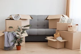 Canapé gris au milieu d’un salon, entouré de cartons de déménagement ouverts, d’objets emballés et d’une plante en pot sur le sol en bois clair.