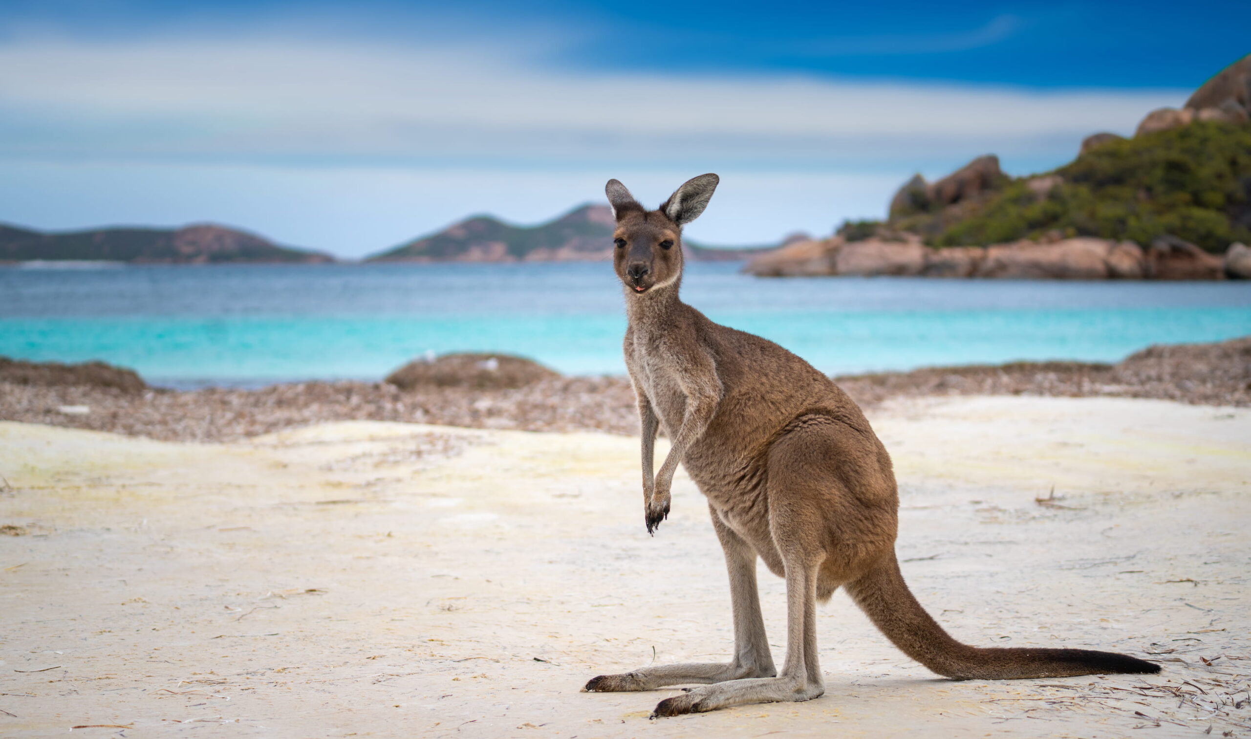 S'expatrier en Australie : les démarches administratives à faire pour partir s'installer.
