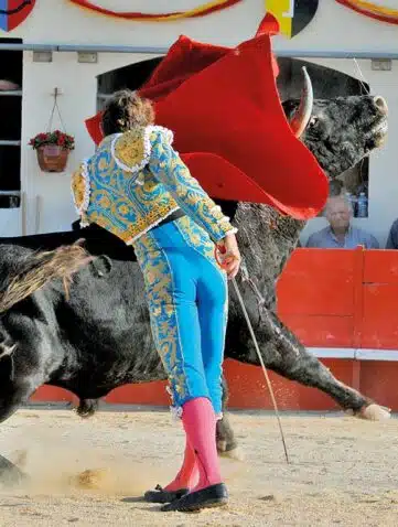 Torero en tenue traditionnelle bleue et or, portant une cape rouge, face à un taureau noir dans une arène, avec des spectateurs sur les gradins derrière.