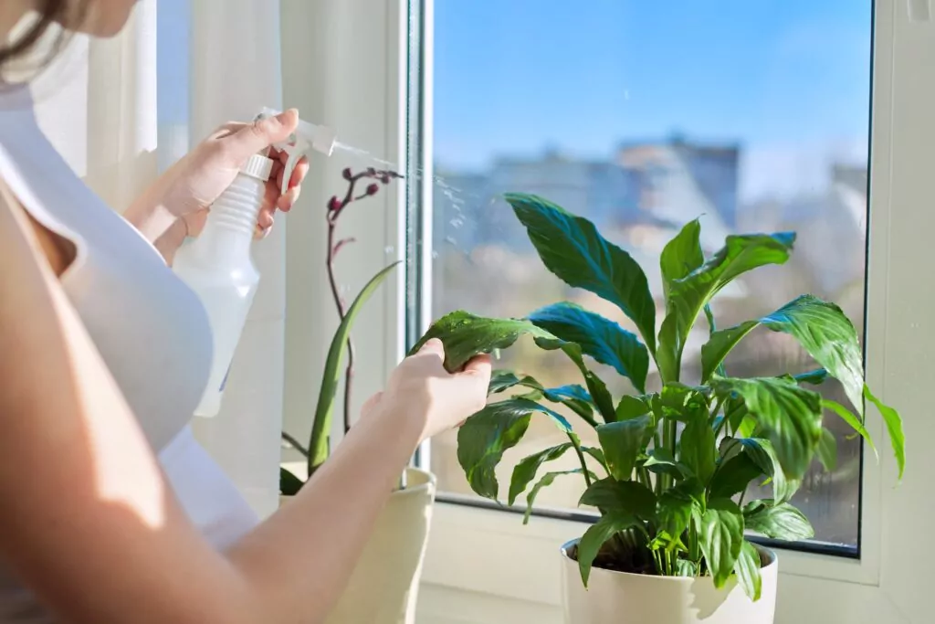 femme qui arrose une plante pour son tri de printemps 